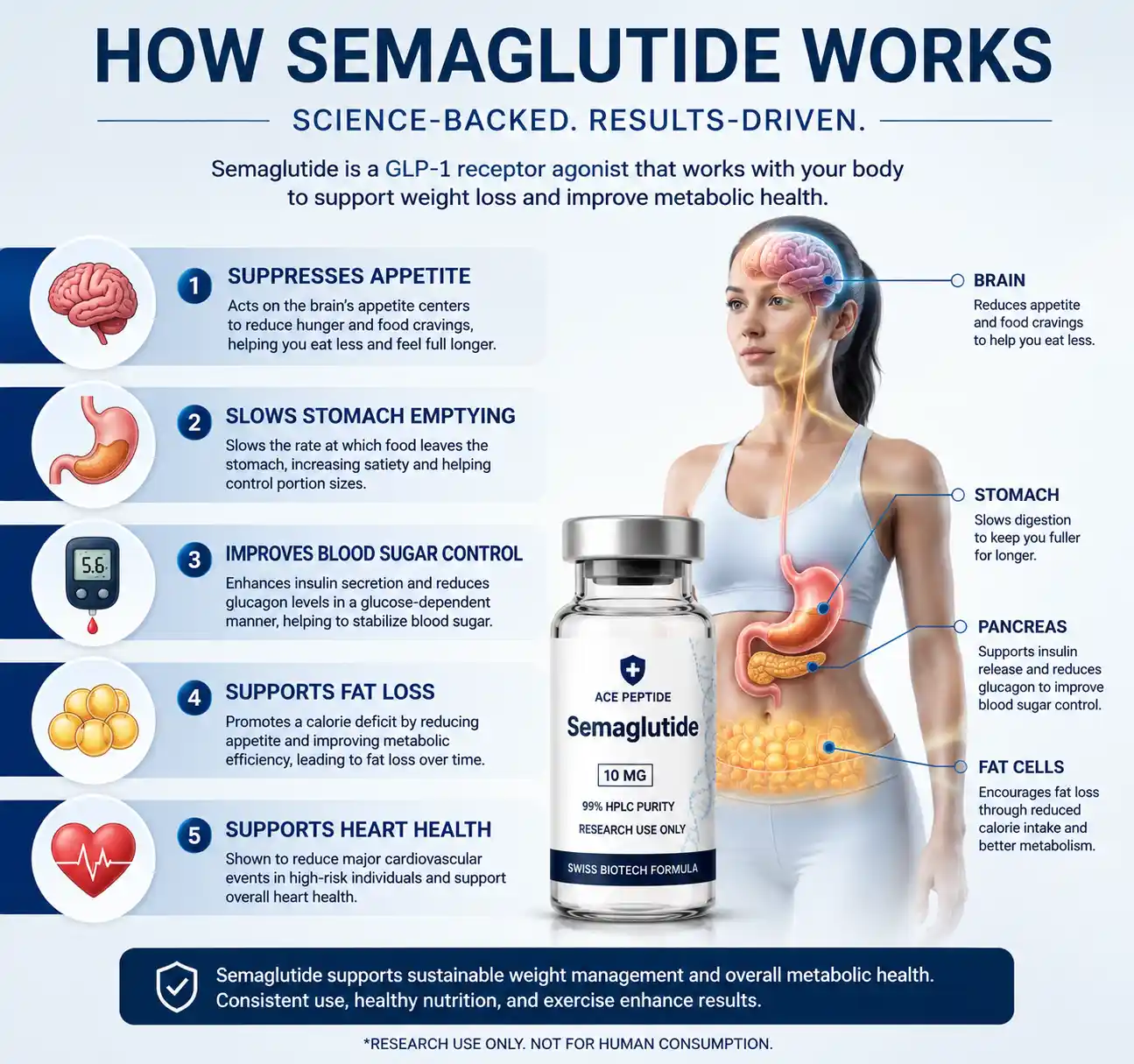 How Semaglutide Works | Semaglutide Bali Guide 1 How Semaglutide works infographic explaining appetite management body composition support and wellness focused routines