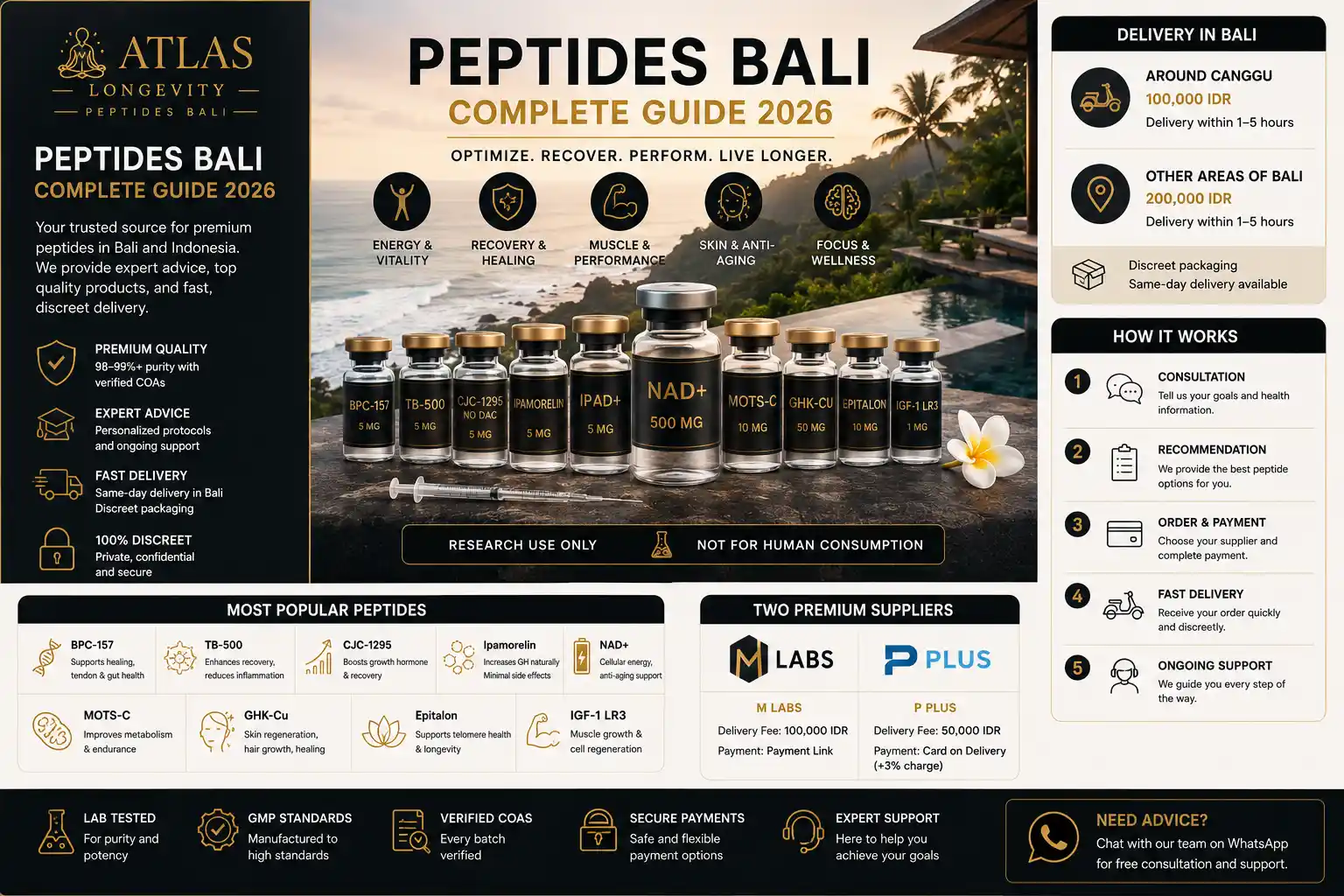 Complete guide to Peptides Bali covering recovery peptides longevity peptides wellness peptides and peptide education in Bali Indonesia