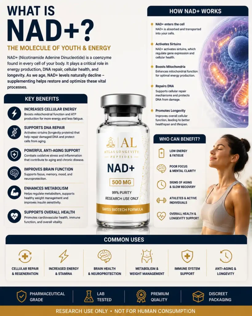Insights 6 What is NAD+ guide explaining cellular energy longevity wellness and peptide education in Bali Indonesia
