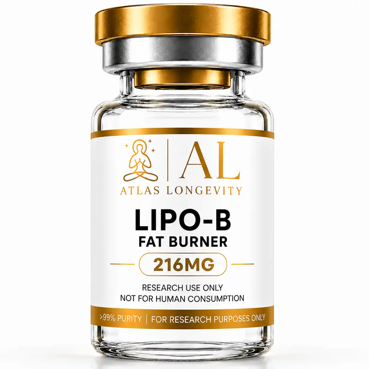 Lipo-B Fat Burner 216mg – Atlas Longevity Lipo-B Fat Burner 216mg Atlas Longevity Bali
